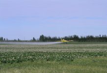 Estados Unidos proíbem vendas do agrotóxico dicamba