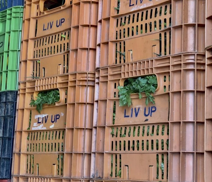 liv up