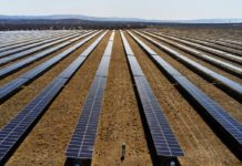 Apple quer neutralizar 100% das suas emissões de carbono até 2030