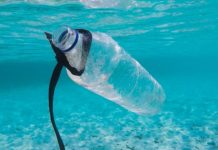 Decreto institui a Estratégia Nacional Oceano sem Plástico de 2025 a 2030