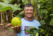 Agricultores agroecológicos podem participar do Programa de Alimentos