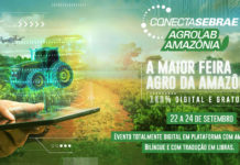 Sebrae promove maior feira digital do agro da Amazônia