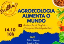 Instituto Brasil Orgânico promove live sobre agroecologia