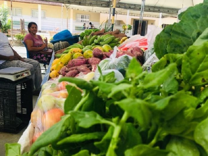 Paraíba agroecologia