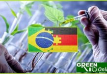 Brasil e Alemanha lançam edital de cooperação em bioeconomia bioeconomia