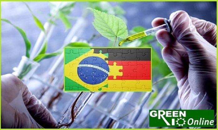 brasilalemanhagreenrio bioeconomia