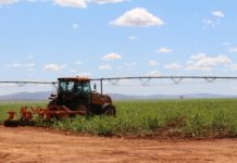 Jalles Machado recebe investimento de US$27,5 milhões