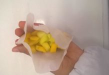 Brasileiros criam embalagem biodegradável para exportação de fruta