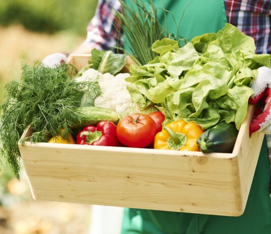 Perspectivas para o setor de orgânicos em 2026 orgânicos - agricultor