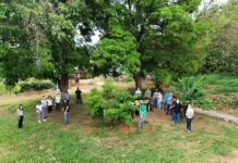 Agricultores orgânicos tentam se reerguer após tragédia em Brumadinho