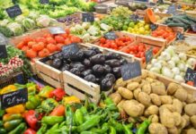 Oito bilhões de habitantes e subindo: algumas alternativas para termos alimentos para todos