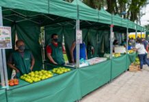 Mangaratiba inaugura feira de produtos agroecológicos