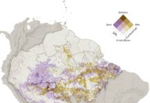 Estudo aponta risco de queimada na Amazônia equivale a 500 mil campos de futebol