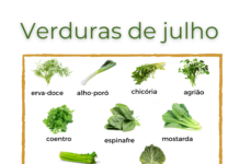 Hortifrutis orgânicos na safra de julho