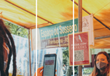 Startup gaúcha Papayas é um vale alimentação de orgânicos que já fatura mais de R$ 1 milhão