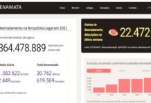 Em tempo real: criada plataforma para monitorar desmatamento na Amazônia