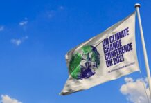 Importância da COP 26 para o Brasil e o setor privado