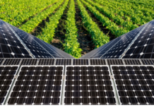 Como a energia solar pode auxiliar o produtor rural e o agronegócio