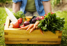 Dia Mundial da Alimentação: como ter uma alimentação saudável gastando pouco