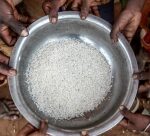 Insegurança Alimentar FAO