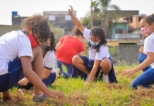 Projeto plantará de miniflorestas em 650 escolas públicas na cidade de São Paulo
