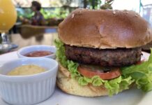 Evolução dos alimentos plant-based no Brasil