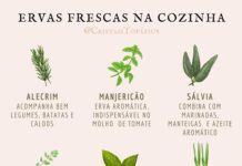 Conheça o Guia de Plantas Aromáticas e Medicinais
