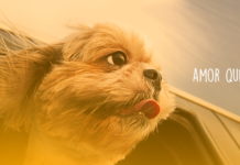 Respeito ao animal e ao meio ambiente