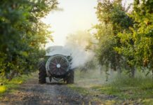 Projeto reduz uso de pesticidas em infestações agrícolas