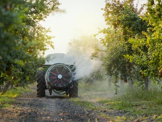 Projeto reduz uso de pesticidas em infestações agrícolas