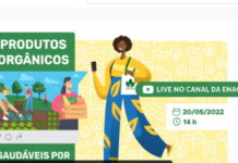 “Produtos Orgânicos: Saudáveis por Natureza”