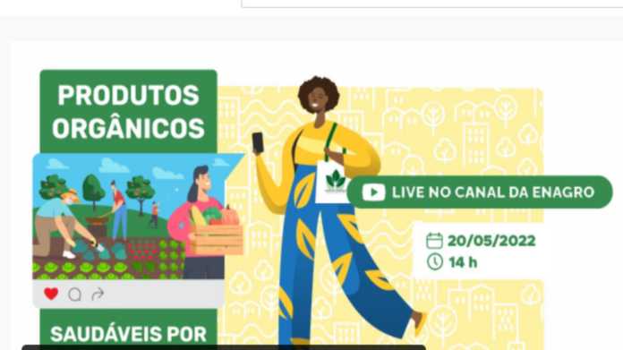 campanha anual