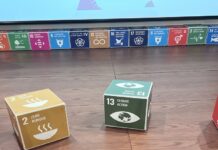 Com metas ambiciosas, executiva brasileira se torna pioneira dos Objetivos de Desenvolvimento Sustentável da ONU