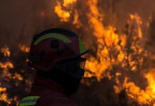 Portugal perdeu 110 mil hectares de floresta para incêndios florestai