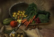 Alimentação mais saudável e sustentável a cerca de 35 mil alunos nas escolas municipais de Sobral (CE)