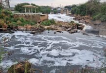 Dia da Água – Qualidade da água de rios da Mata Atlântica melhora, mas desafios persistem