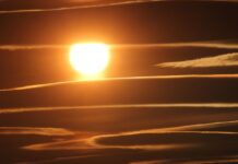 Cinco pontos decisivos em 2025 contra a crise climática