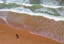 Amazônia Azul: uma década para proteger nosso oceano e agir por um futuro sustentável