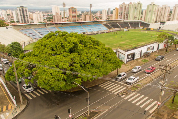 divulgação