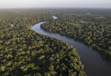 Ponto de inflexão da Amazônia: o papel da convergência entre tecnologia e inovação energética