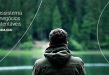 Conheça a Pangeia: um ecossistema de negócios sustentáveis
