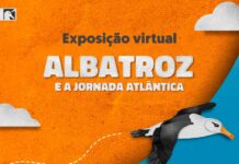 Exposição propõe imersão virtual na biologia e desafios de conservação dos albatrozes