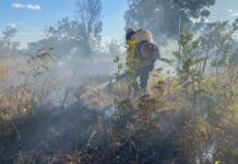 Com a chegada da seca, entidades reforçam importância de proteger o Cerrado contra incêndios