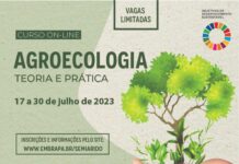 Embrapa abre inscrição para curso on line sobre “Ecologia: teoria e prática”