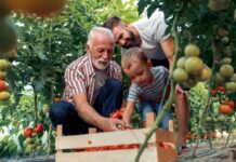 Sucessão no campo: estratégias para assegurar o legado familiar na agricultura