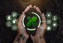 Como IA e Ciência de Dados podem ser aliadas na busca por produtividade e sustentabilidade no campo