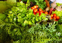 Embrapa lança ambiente digital para auxiliar na produção orgânica e agroecológica