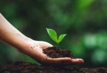 Agroecologia: como fazer a transição de uma propriedade convencional
