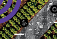 Agricultura urbana pode contribuir para segurança alimentar nas cidades em tempos de crise climática