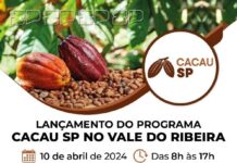 Programa Cacau SP consolida início das ações no Vale do Ribeira